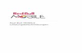 Red Bull MOBILE Leistungsbeschreibungen