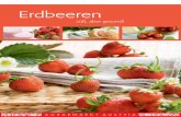 Erdbeeren - Snack 5