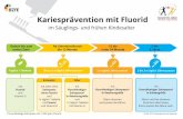Kariesprävention mit Fluorid - Gesund ins Leben