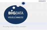 Big Data + visuelle Analyse