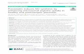 Pravastatin induces NO synthesis by enhancing microsomal ...