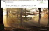 Der Wald in Deutschland - BMEL