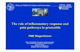 The role of inflammatory response and pain pathways in ...