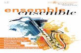 Nr. 2016 Rendsburger Musikschule ensemble