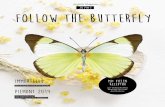 farfalla Magazin 2019#3 Follow the Butterfly