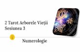 2 Tarot Arborele Vieții Sesiunea 3 Numerologie