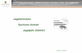 Jagdstrecken Sachsen-Anhalt Jagdjahr 2020/21