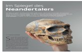 Im Spiegel des Neandertalers - Max Planck Society