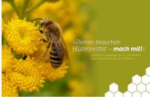 Bienen brauchen Blütenvielfalt – mach mit!