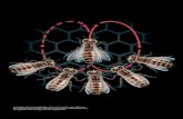 Der Forscher, der auf Bienen flog | MaxPlanckForschung 1 ...