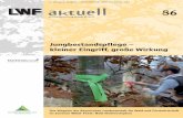 19.Jahrgang; Ausgabe 1-2012; ISSN 1435-4098; Einzelpreis ...