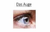 Das Auge - wbg-oe-projekt.de