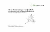 Bohnenprojekt - Gartenfreunde Bremen