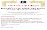 Ten-Shin-Ryu Schweiz Kampfkunst Schule Einführungskurse 2