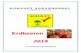 Erdbeeren 2019 - kohaupt-agrarhandel