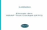 Leitfaden - DSAG