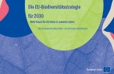 Die EU-Biodiversitätsstrategie für 2030