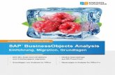 SAP BusinessObjects Analysis
