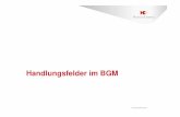Handlungsfelder im BGM - HessenChemie-Blog