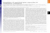 Regulation of imprinted gene expression in ... - Zilberman Lab