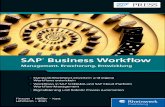 SAP Business Workflow – Management, Erweiterung, Entwicklung