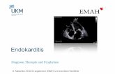 Endokarditis - UKM