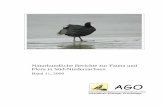 Naturkundliche Berichte zur Fauna und Flora in Süd ...
