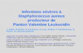 Panton & Valentine Leukocidin (PVL) - Infectiologie