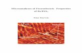 Microanalyses of Ferroelectric Properties of BaTiO3