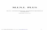 mini plus mini internationaal neuropsychiatrisch interview