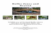 Wetland Buffer Zones and Beyond - UMass Extension - University of