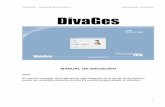DivaGes - Revolution Software, SL