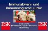 Immunabwehr und immunologische Lücke