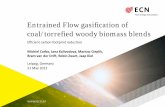 Entrained Flow gasification of coal/torrefied woody ...