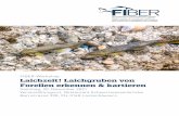 FIBER-Workshop Laichzeit! Laichgruben von Forellen ...