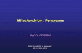 Mitochondrium, Peroxysom - Semmelweis