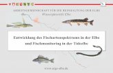 Entwicklung des Fischartenspektrums in der Elbe und ...