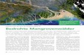 W H - Wald, Forstpraxis, Waldwirtschaft | waldwissen.net