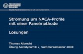 Strömung um NACA-Profile mit einer Panelmethode Lösungen