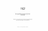 Ergebnisbericht 2005 - Empfehlungen des LRH zur sparsamen ...