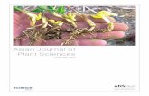 Evaluation of Sesame Genotypes for Yield, Phytochemical ...