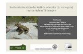 Bestandssituation der Gelbbauchunke (B. variegata) im ...