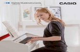 Digitale Musikinstrumente 2013/14 - Casio