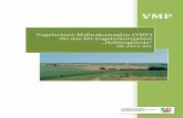 Vogelschutz-Maßnahmenplan (VMP) für das EU ...