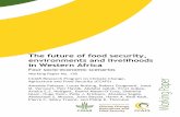 The future of food security, environments and ... - CGIAR