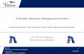 A Flexible Spectrum Management Solution
