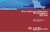 Landesstatistik Strukturdaten Pinzgau 2016