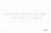 piscina mirabilis and the white cubes