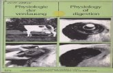 yV/V /28/y Physiologie Physiology der of Verdauung digestion