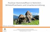 Positiver Hemmstofftest in Rohmilch - Wirkstoffnachweis ...